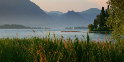 Williams Lake doctors