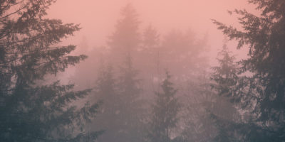 Port Moody doctors