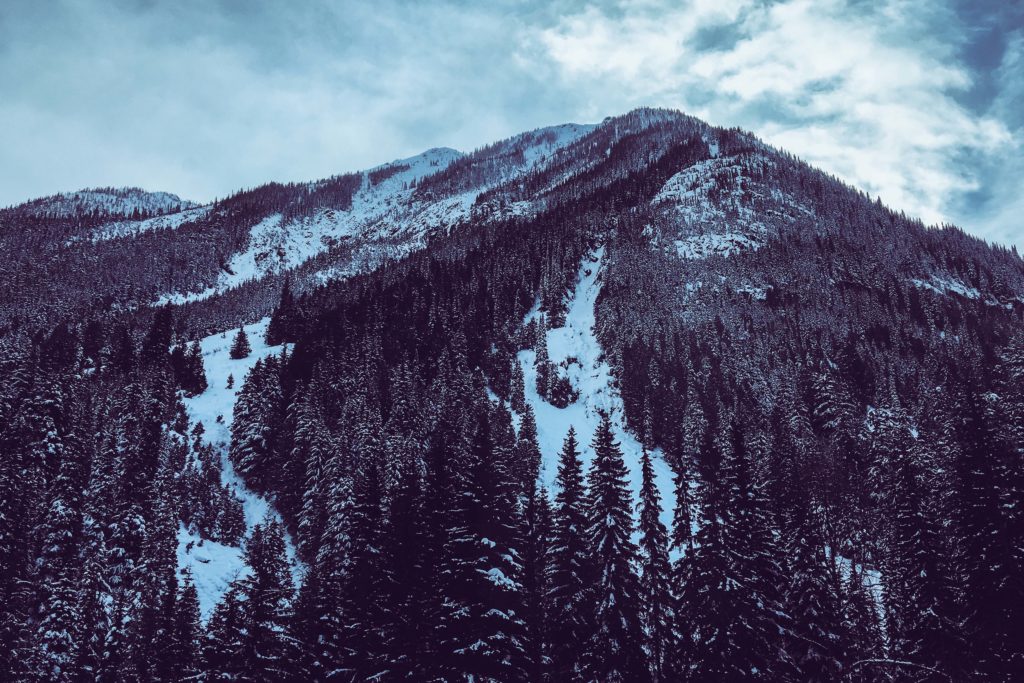 Columbia-Shuswap-doctors Columbia-Shuswap-doctors