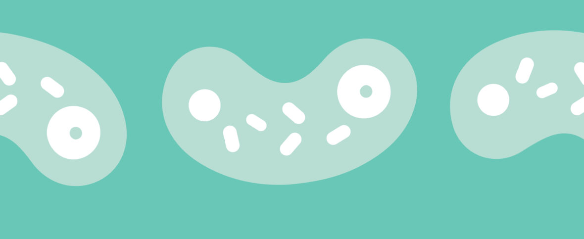 illustrated germs genital warts symptoms