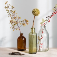 three dried plants in different vases