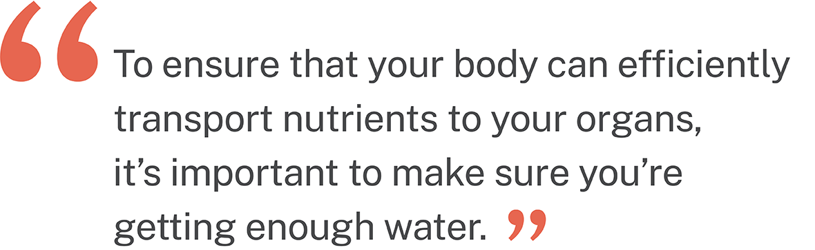 Quote: "To ensure that your body can efficiently transport nutrients to your organs, it's important to make sure you're getting enough water"