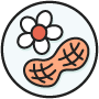 Allergy Specialty Icon